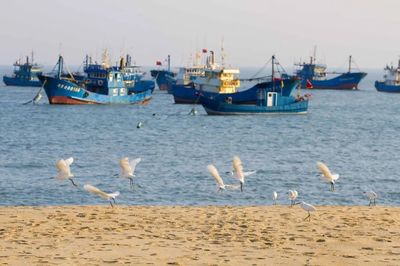 晉江市金井線:打造泉州濱海鄉村旅游“橋頭堡”