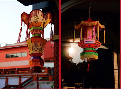 為期3天,攻略來了 泉州元宵來 澤 里,賞花燈享東南亞美食,點擊文末領(lǐng)取美食券 燈會 閩南 豐澤 元宵節(jié) 網(wǎng)易訂閱