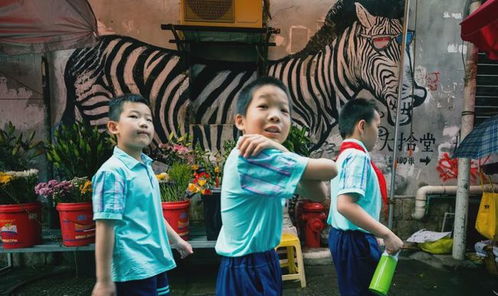 今天，全世界都在看泉州——探秘泉州涂鴉的藝術(shù)之旅