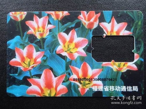 福建泉州剌桐閣聚寶齋收藏書店 孔夫子舊書網(wǎng)上的文化瑰寶