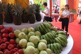 泉州涂鴉 城市藝術的新浪潮