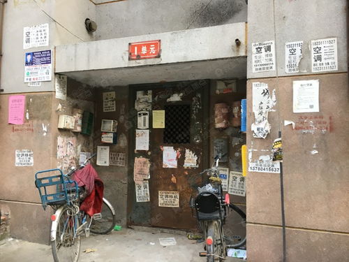 泉州河紡街省油脂公司宿舍 涂鴉藝術(shù)與樣板間裝修效果圖融合指南