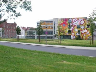 一個泉州人的卡塞爾藝術之旅